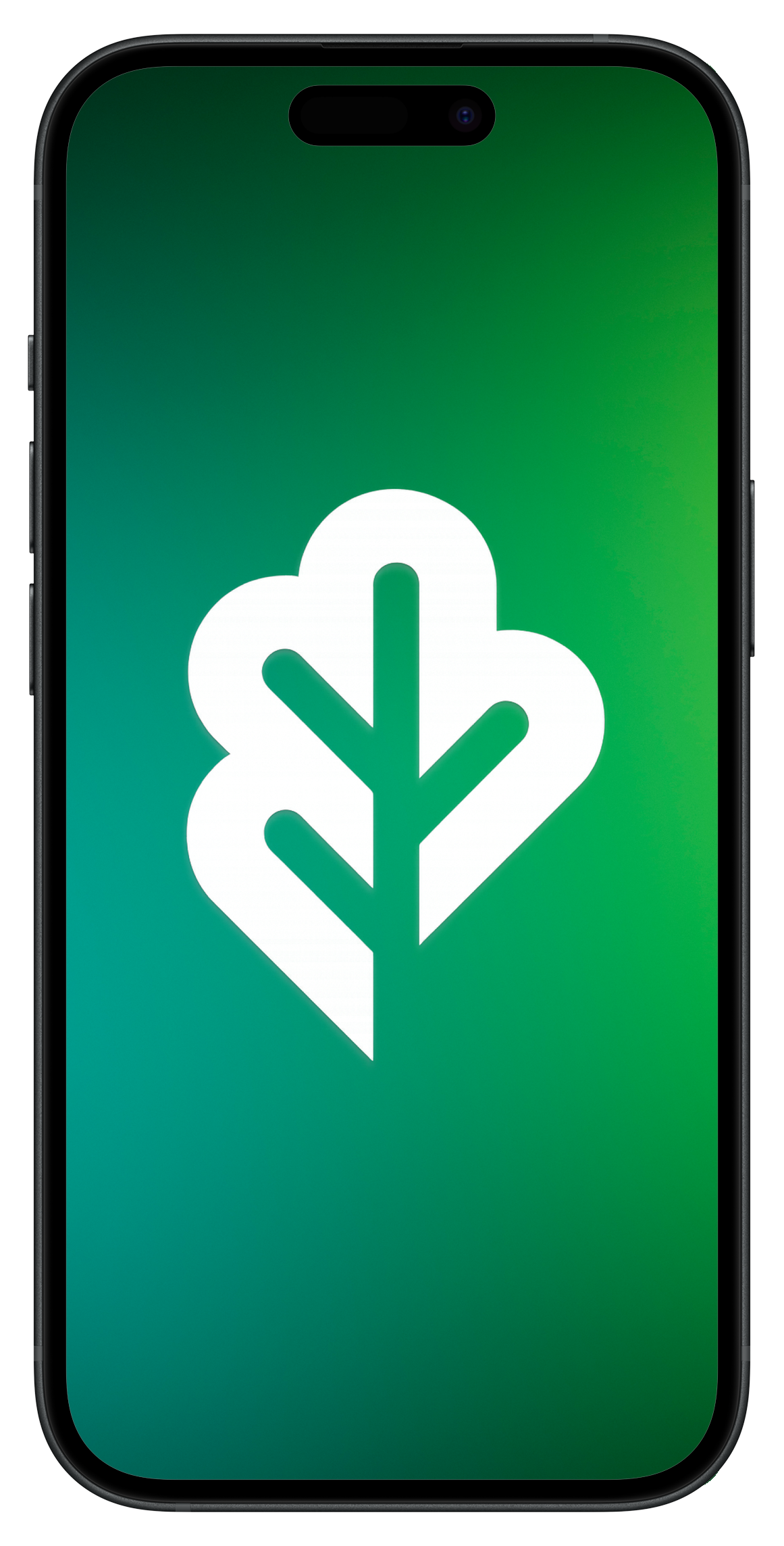 Terra iPhone App